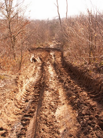 Plaine de Versailes-6